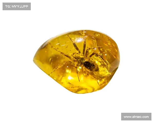 瑶光滩独特宝藏大揭秘:探寻那些你绝对不容错过的珍稀奇物 瑶光滩独特宝藏大揭秘:探寻那些你绝对不容错过的珍稀奇物